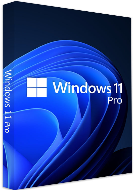 Windows 11 Professional OEM Clave